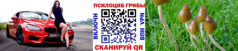 Галлюциногенные грибы Psilocybe гидра ТОР дарк нет официальный сайт Тюмень